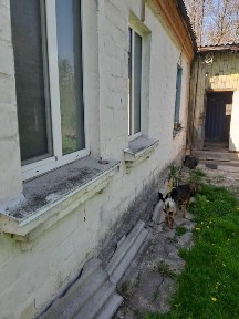 Київська область, Дерев'янки