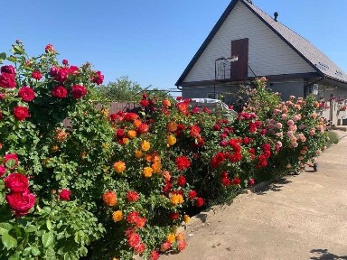 Капітальний будинок у Великій Балці з усіма зручностями!
