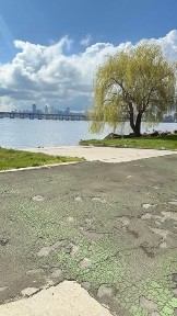 Дніпропетровська область, Дніпро, Амур-Нижньодніпровський
