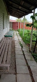 Черкаська область, Соснове