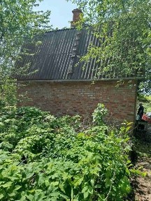 Харківська область, Харків, Слобідський