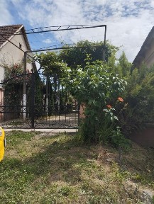 Продам дом Закарпатье ВелыкиБереги