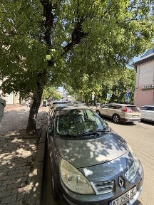 Івано-Франківська область, Івано-Франківськ