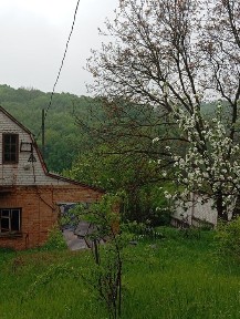 Київська область, Велика Вільшанка