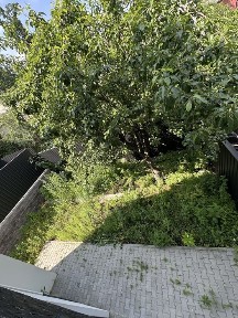 Дуплекс поруч з лісом. РОЗТЕРМІНУВАННЯ