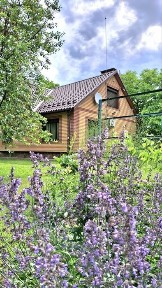 Продаж унікального будинку в с. Гоголів, заїжджай та живи!