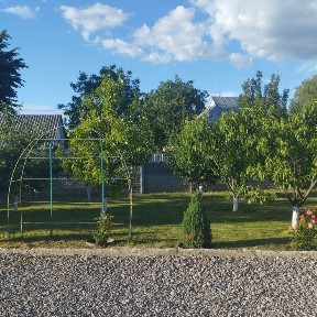 Київська область, Бориспіль