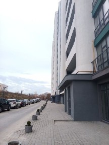 Львівська область, Львів, Франківський