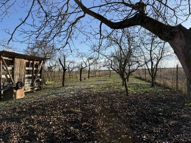 Продаю власний будинок в Закарпатській обл, с. Свобода