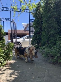 Одеська область, Одеса, Приморський
