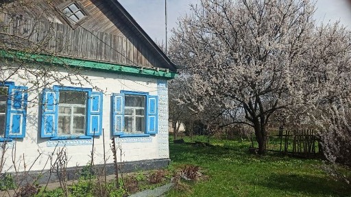 Продажа будинку с. Вознесенське на вул. Шевченка