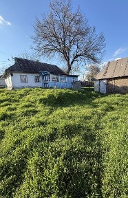 Київська область, Красне перше