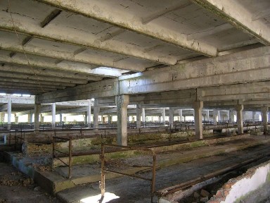 Комплекс по вирощуванню і відгодівлі 1000 голів ВРХ. В минулому.