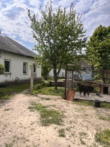Київська область, Літочки