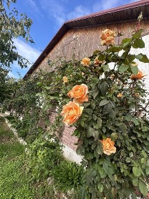 Одеська область, Барабой