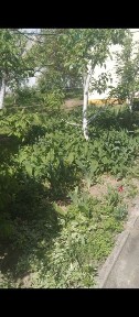 Здам пів дому на 1-2 людини.