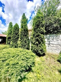 Харківська область, Харків, Немишлянський