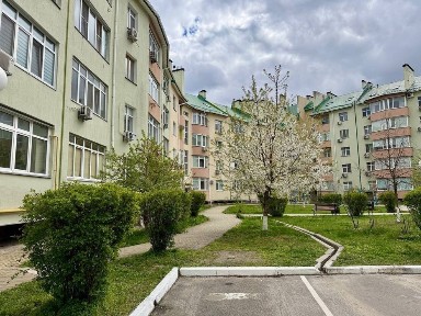 Київська область, Петропавлівська Борщагівка