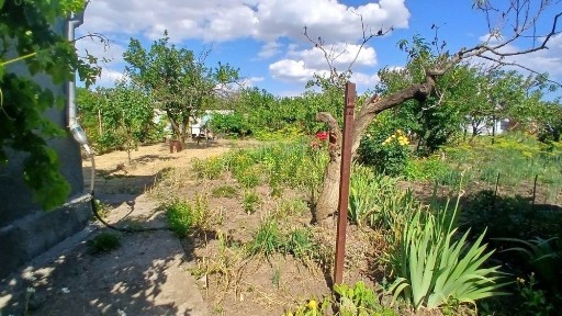 2-рівневий будинок-дача в селі Кошари. 6 соток. 7 000$