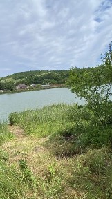 Київська область, Красне перше