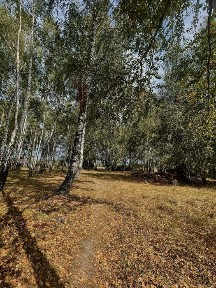 Житомирська область, Троянів