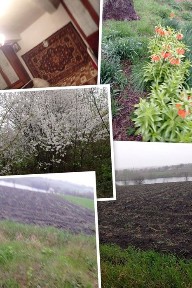 Продам будинок Новоукраїнський р-н! 1 гектар (га) землі.