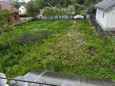 Івано-Франківська область, Богородчани