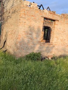 Кіровоградська область, Липове