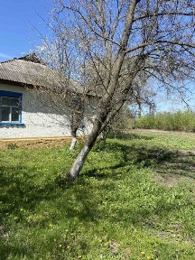 Київська область, Любарці