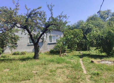 Київська область, Немішаєве