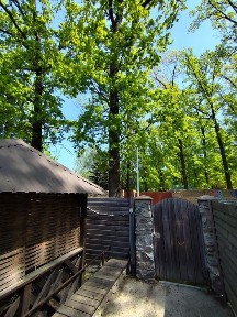 Київська область, Ірпінь