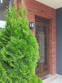 Чернівецька область, Чернівці