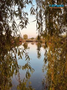 Продаєть комплекс будівель та споруд, кафе з терассою, риборозплідник, дамби, альтанки