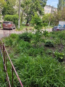 Одеська область, Чорноморськ