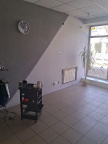 Запорізька область, Запоріжжя, Вознесенівський