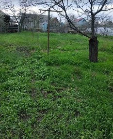 Одеська область, Одеса, Хаджибейський