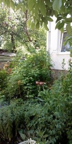 Львівська область, Львів, Залізничний
