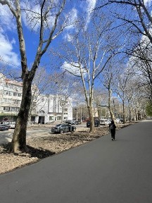 Фасадная квартира под бизнес на Филатова. Высокий трафик, проходное место. Напротив Таврии. Госпоограммы