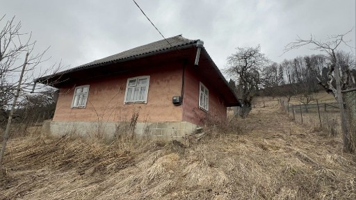 Продається два будинка у селі Нижний Студений