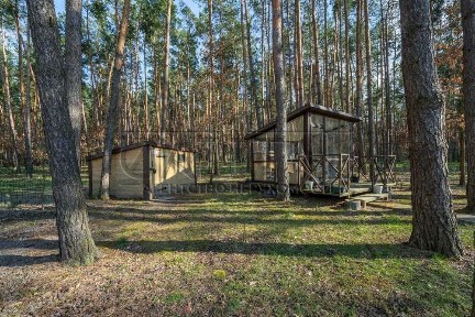 Київська область, Перевіз