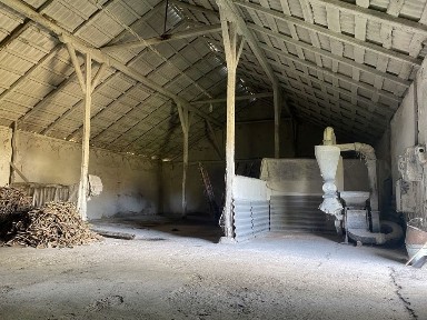 Івано-Франківська область, Коломия