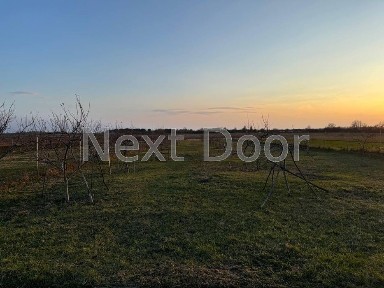 Продам 4-кімн. будинок 192/100/30 м² на 50 сот. в Чайківці - простір і комфорт для вашої родини!