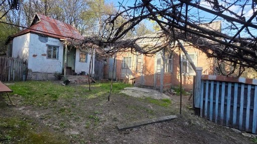 Полтавська область, Полтава