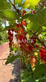 Одеська область, Одеса, Київський