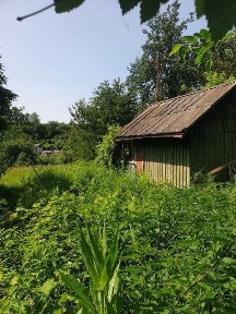 Київська область, Біла Церква
