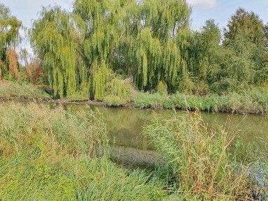 Дніпропетровська область, Новоолександрівка