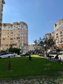 Львівська область, Львів, Шевченківський