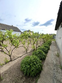Продаж добротного будинку для родини