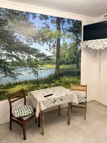 Оренда однокімнатного будинку Замостя, Петроцентр. Варшавська. Будинок офіцерів. Фонтан Рошен