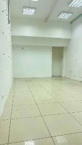 Київська область, Київ, Шевченківський